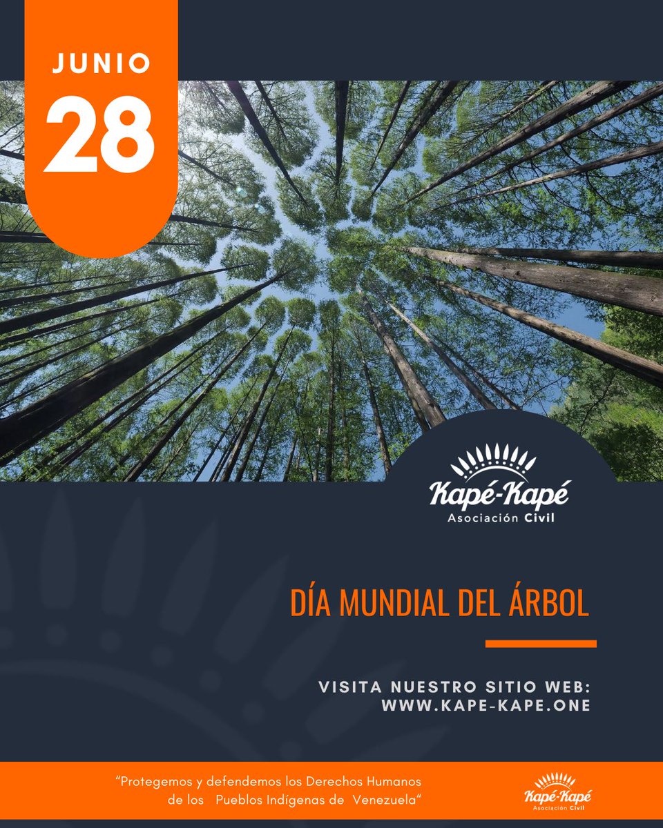 ackapekape's tweet photo. Hoy 28 de junio nos unimos a la celebración Día Mundial del Árbol #KapeObserva
#DiaMundialDelArbol
Visita: https://t.co/RGemCpXVJH https://t.co/OTlnYPPEOt