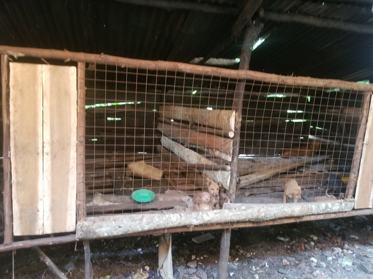 Animalwelfareo's tweet photo. https://t.co/1XV8TxrWHd