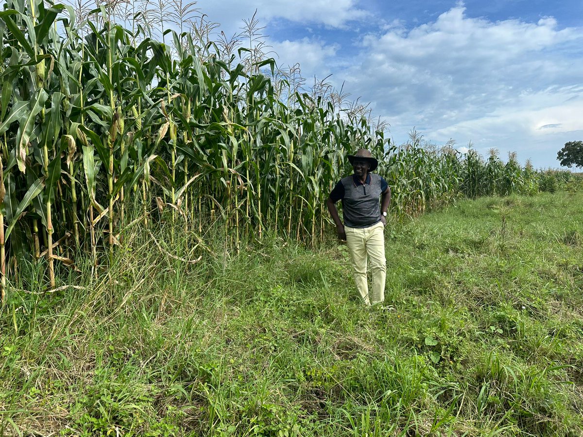 Cleo Malalah tweet media