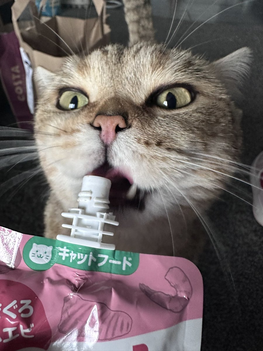 如何评价这几张恶魔土豆🥔？ https://t.co/Vpalx8bk3s