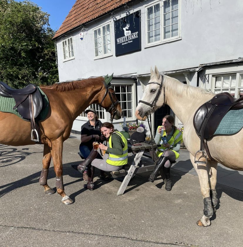 Happy Birthday to Faye, who looks after me so well and even takes me to the pub 😊🐎🍺🥳🎉🎂