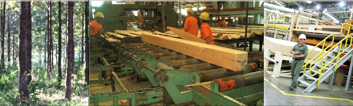 #ConstruccionConMadera #120Aniversario
“Argentina puede consolidarse como un actor importante en el uso de la madera en la construcción en la región”, sostiene el presidente de CADAMDA, Daniel Vier argentinaforestal.com/2023/06/28/arg… 
<a href="/FAIMAargentina/">FAIMA</a> <a href="/AfoaArg/">AFOA</a> <a href="/CAMMECba/">CAMMEC</a> <a href="/amayadap/">amayadap</a> <a href="/apicofom/">apicofom</a>