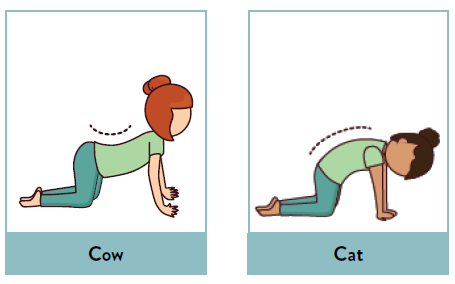 yoga_healers's tweet photo. Yoga Asanas To Control high Blood Pressure ?
- Chakravakasana or Cat-Cow Pose: This gentle, accessible backbend stretches and mobilises the spine. Practicing this pose also stretches your torso, shoulders, and neck. For this one needs to get on all fours and place their wrists underneath your shoulders and your knees underneath your hips. Inhale as you look up and let your stomach drop down toward the mat. Exhale as you tuck your chin into your chest, draw your navel toward your spine, and arch your spine toward the ceiling. #yogahealers #yoga_healers #mentalhealth #MentalHealthAwareness #news #health