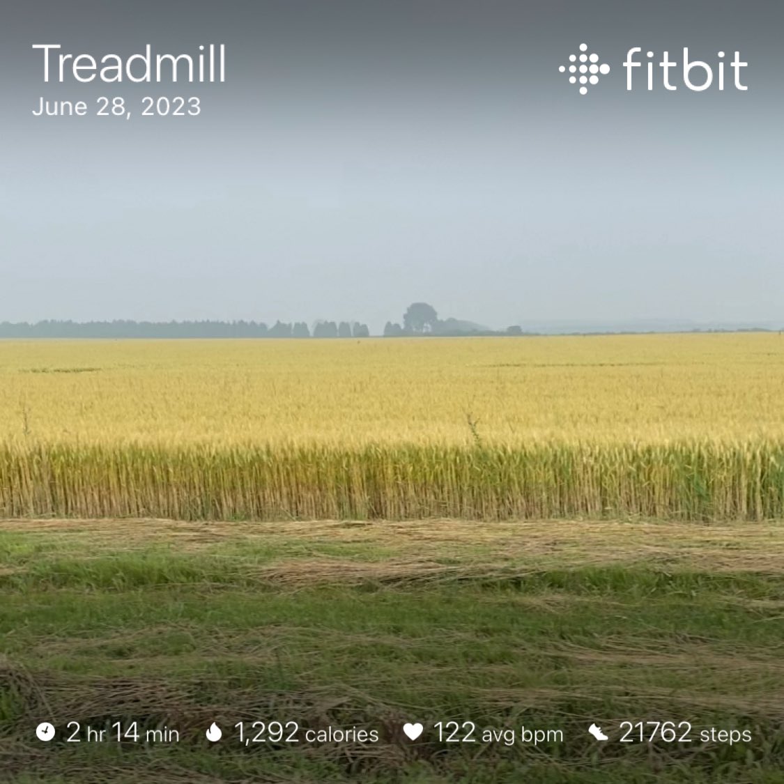 McRun23's tweet image. Third day in a row on the treadmill. Planning to be outside tomorrow hopefully doing track intervals. #run #fitbit #proform #bostonmarathon #saucony