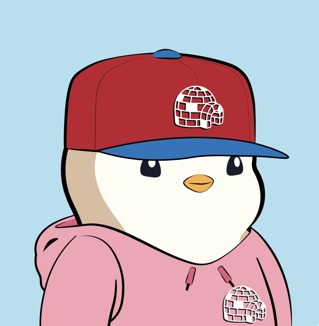 CryptoElker's tweet photo. @ppmcghee Like dis? #hoodiegang #doublemerch https://t.co/anfSZMkjpo