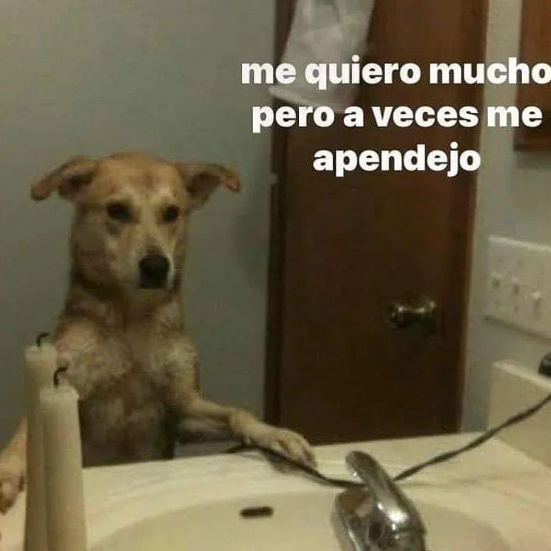 gisz_ela's tweet photo. Mood: https://t.co/5HvT7p2G03