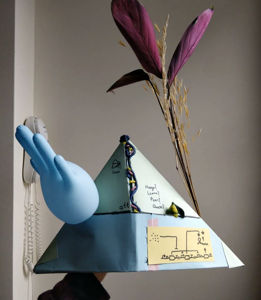 Veronica Greco tweet media