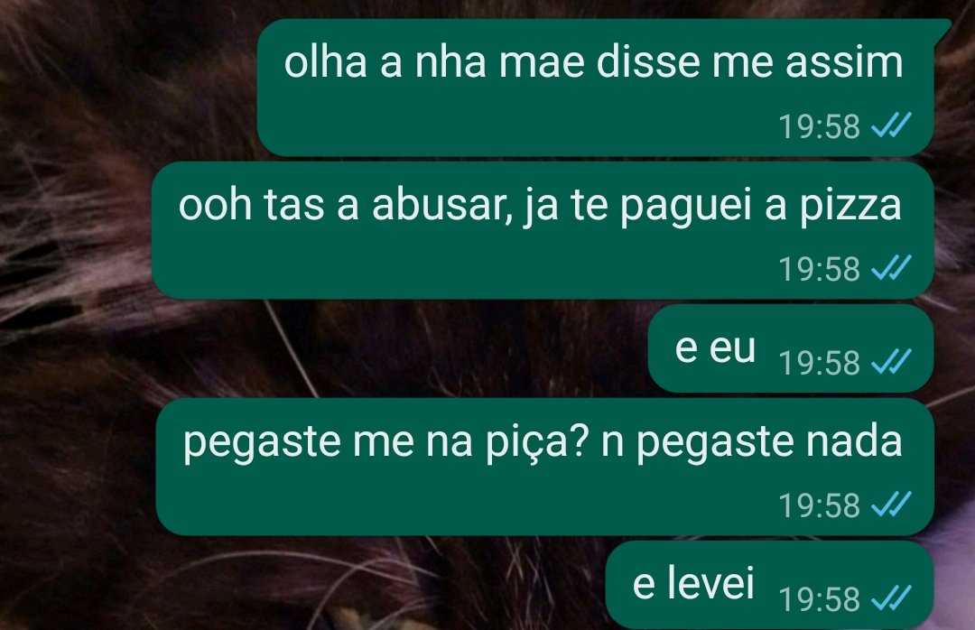 miau 🪲 tweet media