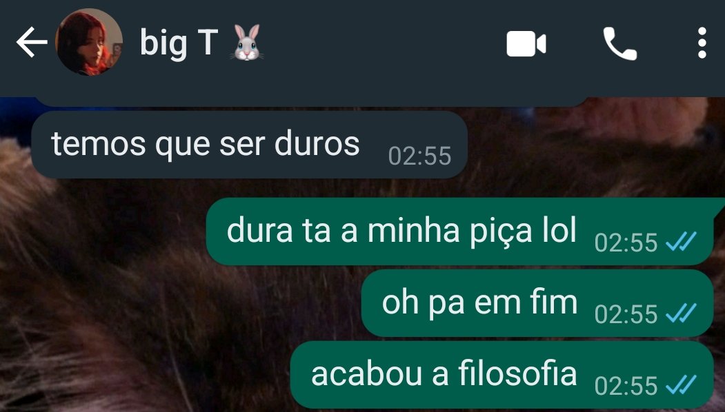 miau 🪲 tweet media