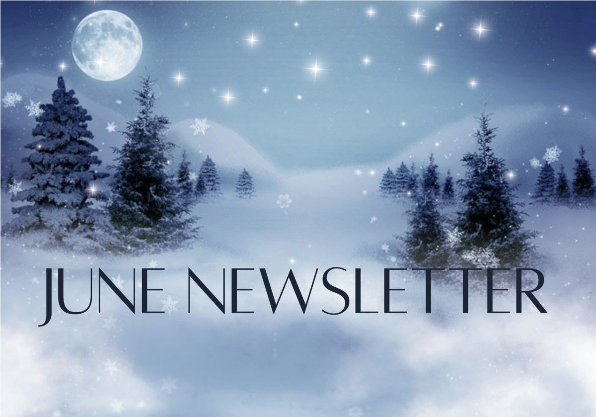 D2N - Technology Solutions tweet media