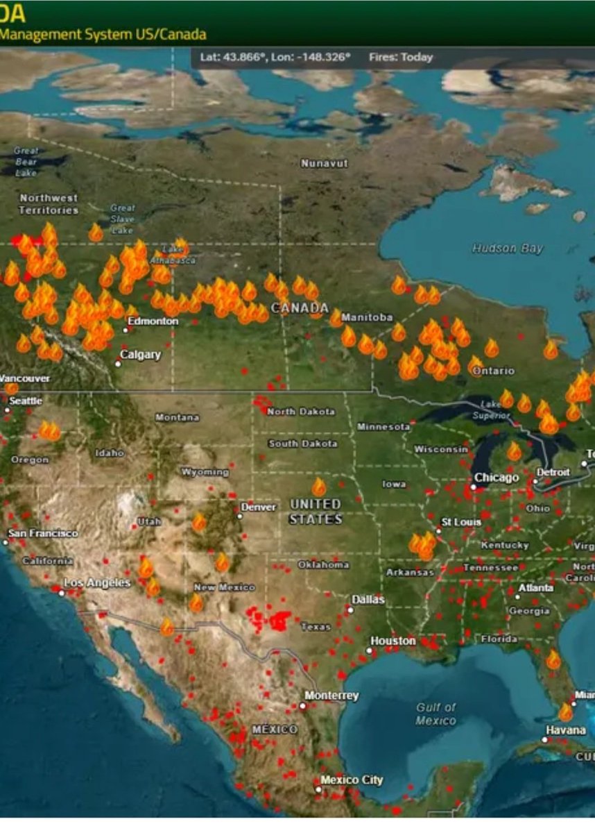 News Media acts so nonchalantly about the fact that a gigantic swath of boreal forestland in North America is on fire right now, with smoke choking out cities hundreds of miles away. THESE FORESTS ARENT SUPPOSED TO BURN. We are the next mass extinction event.