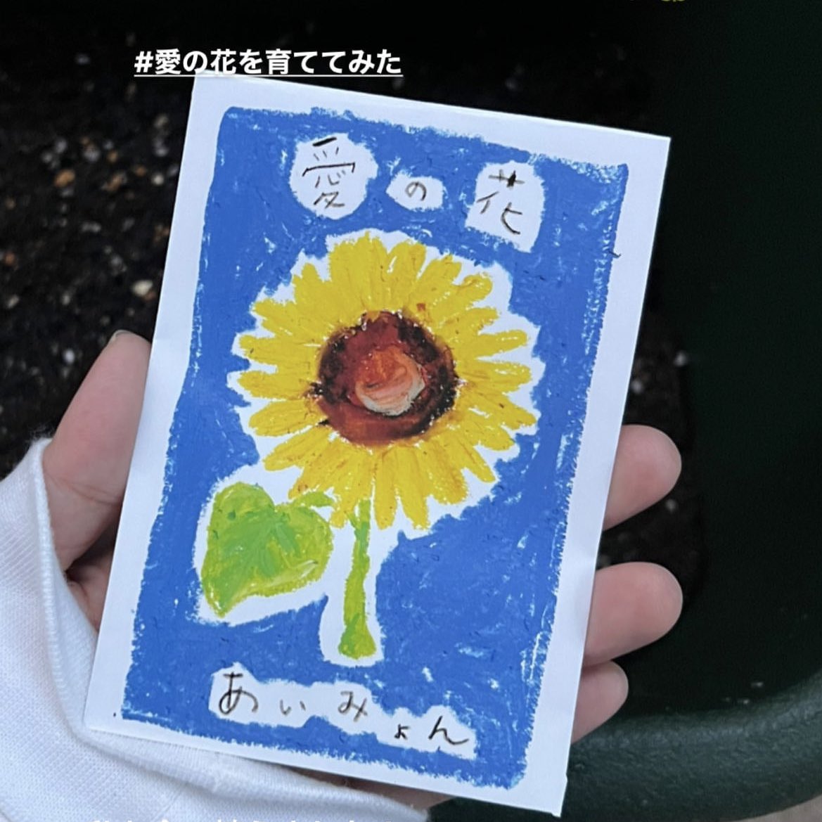 あいみょんスタッフ on Twitter: