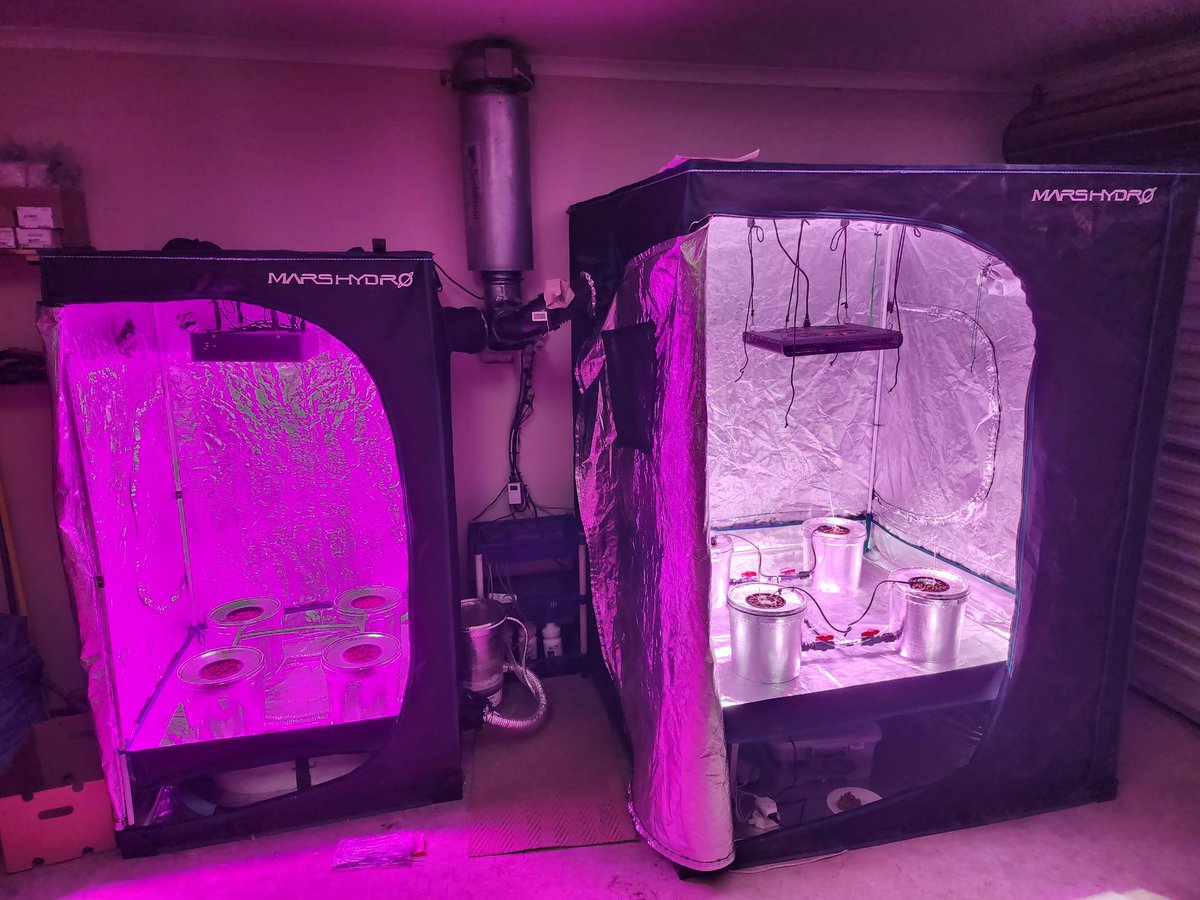 🥰🫠💜💜💜
#growtents #hydroponics #indoorgardening #cannabisindustry #cannabisculture #cannabisnews #weedsmokers #weedcommunity #WeedLovers #MARYJANE #marshydro #bigbud #GardenersWorld