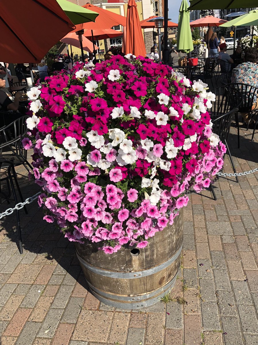 joyfulng's tweet photo. #PointRuston Tacoma https://t.co/STiLO8rbjI