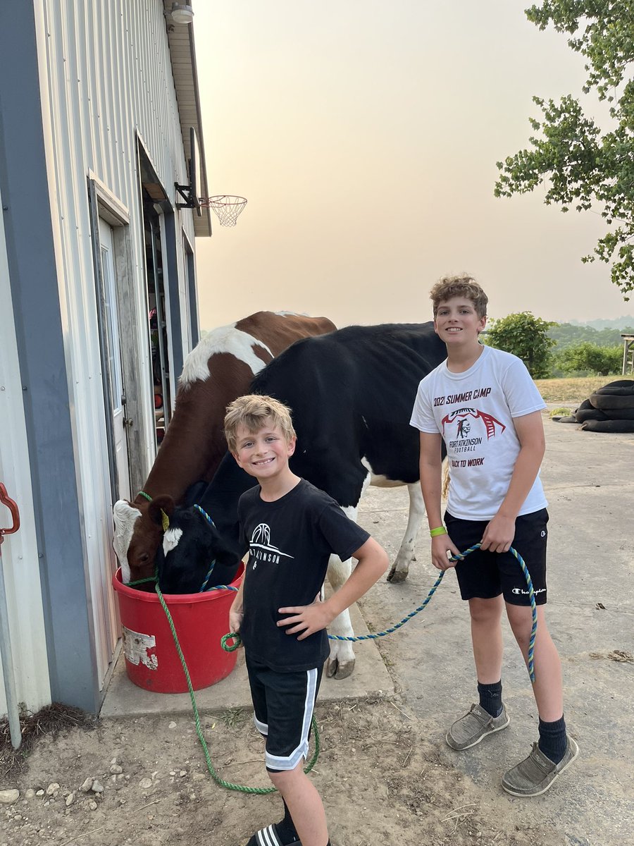 SparkleneView's tweet photo. Busy day on the farm for the kiddos. #breedingday #fairprep https://t.co/dDvirbymP2