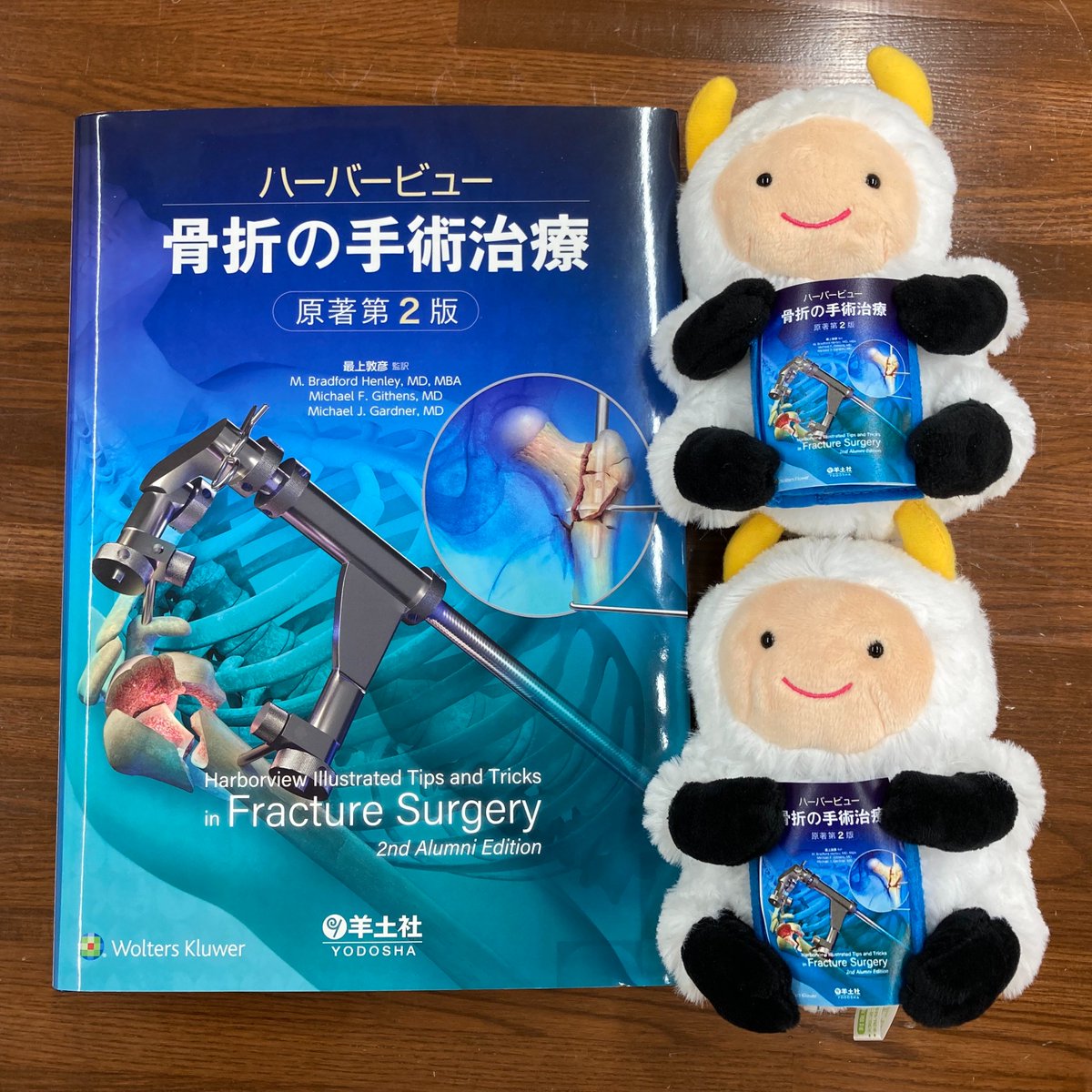 ハーバービュー 骨折の手術治療 原著第2版 整形外科学レビュー2021