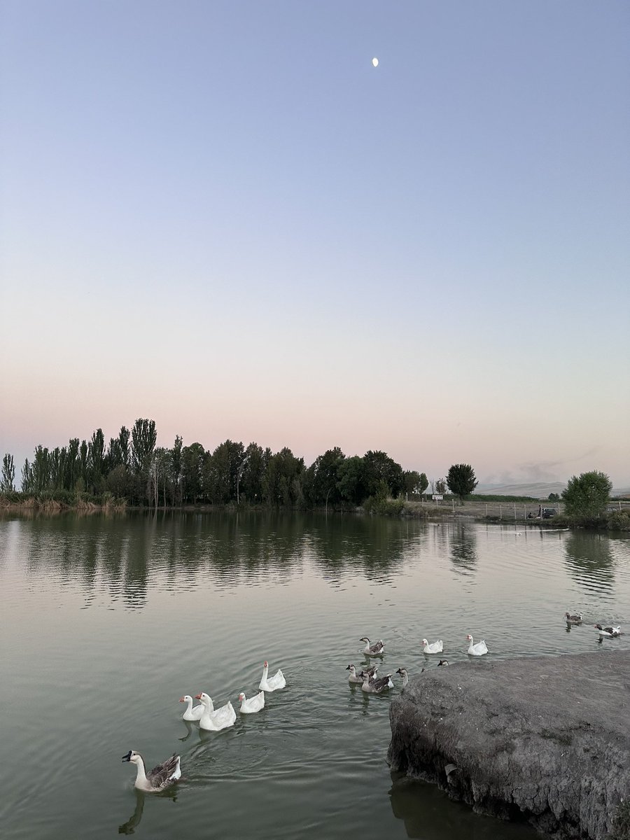 📸 Göləmərz 
📍 Urmu - Güney Azərbaycan