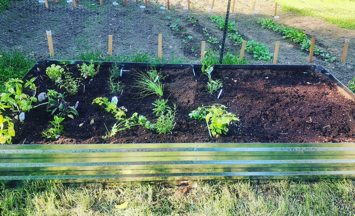 My new herb garden and 2nd round of potatoe / onion patch.

#grow your own #GardeningTwitter #eatlocal