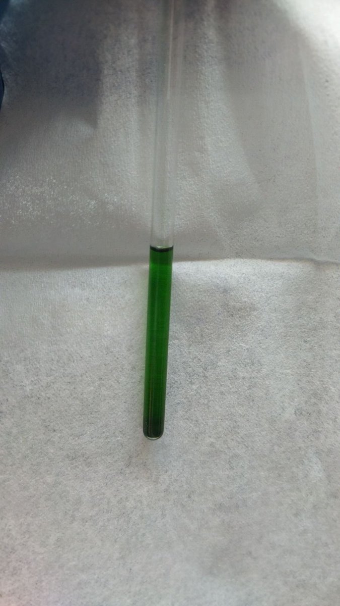 Windorff Research Group tweet media