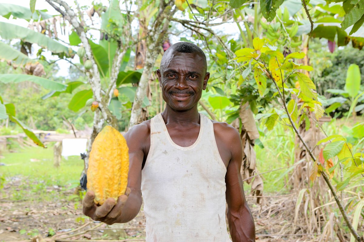 Inspiring to see local communities integrate their unique knowledge with digital technologies to reduce emissions.

#Ghana's sustainable cocoa farming has reduced deforestation while generating carbon credits that pay dividends. 

#ClimateStories_WBG
wrld.bg/jEag50OUW4P