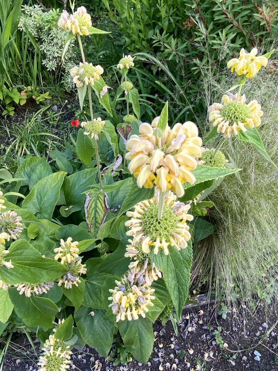 Nancy Clark tweet media