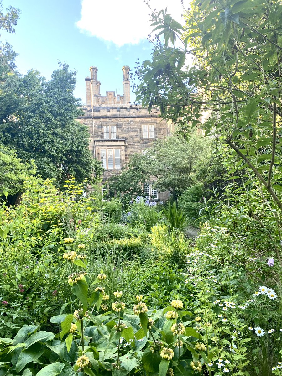 Nancy Clark tweet media