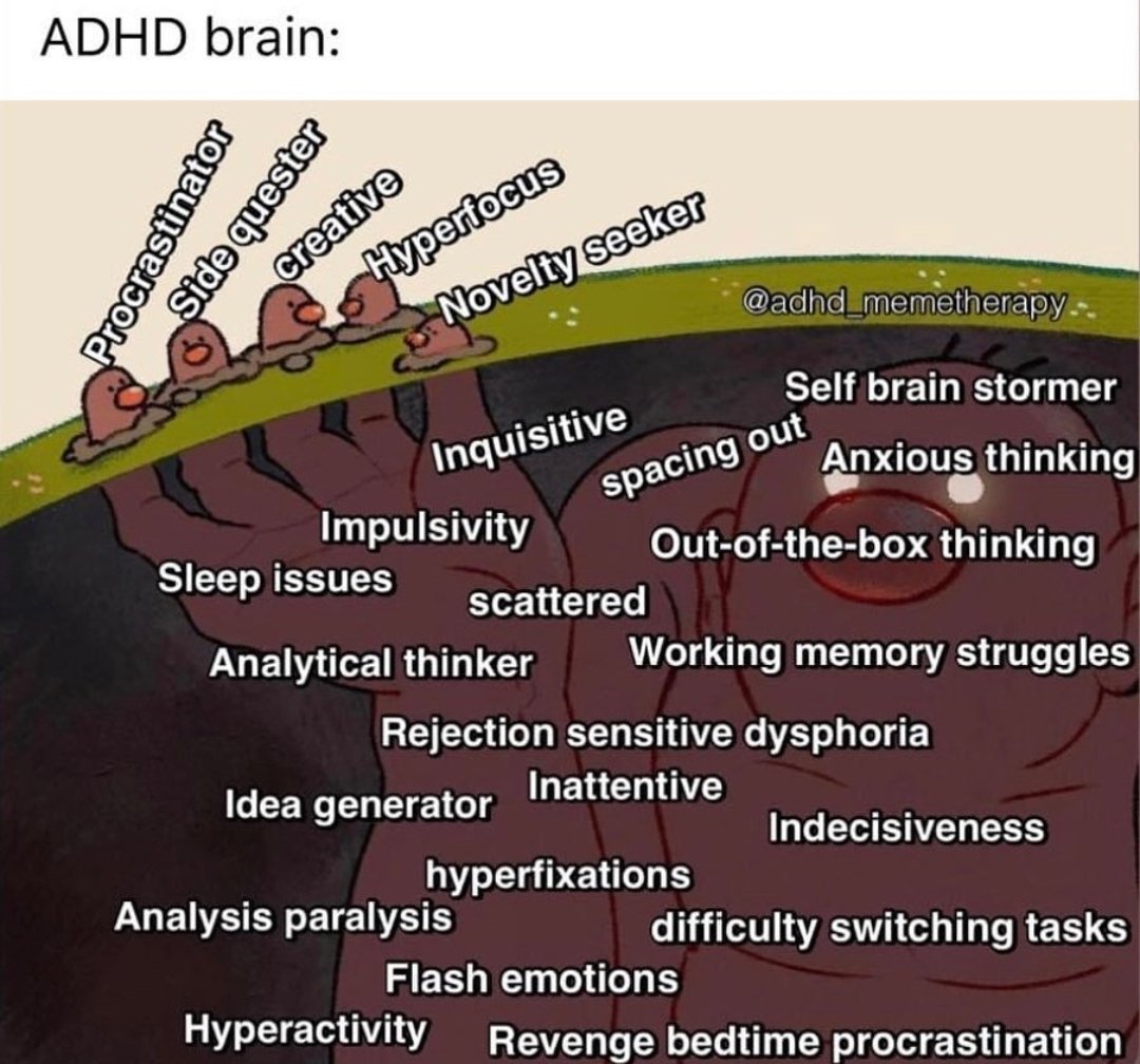 Facts. 

#ADHD #AUDHD #Neurodivergent #Neurodiversity #DisabilityTwitter #ActuallyAutistic