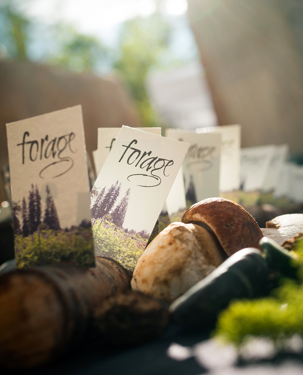 Our commitment to sustainability goes beyond just sourcing ingredients. At Forage, we're proud to be a zero-waste restaurant, which means we strive to use every part of the ingredients we work with. Dine with us and join in on our journey to a sustainable future!