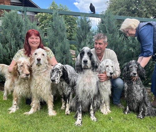 Greetings from a day trip to Styria #WillieWalkers #EnglishSetters