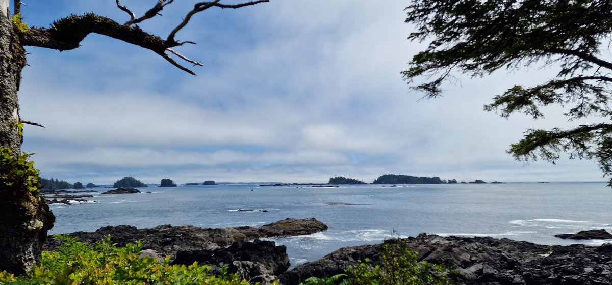 On the wild pacific trail near to Ucluelet, Canada.