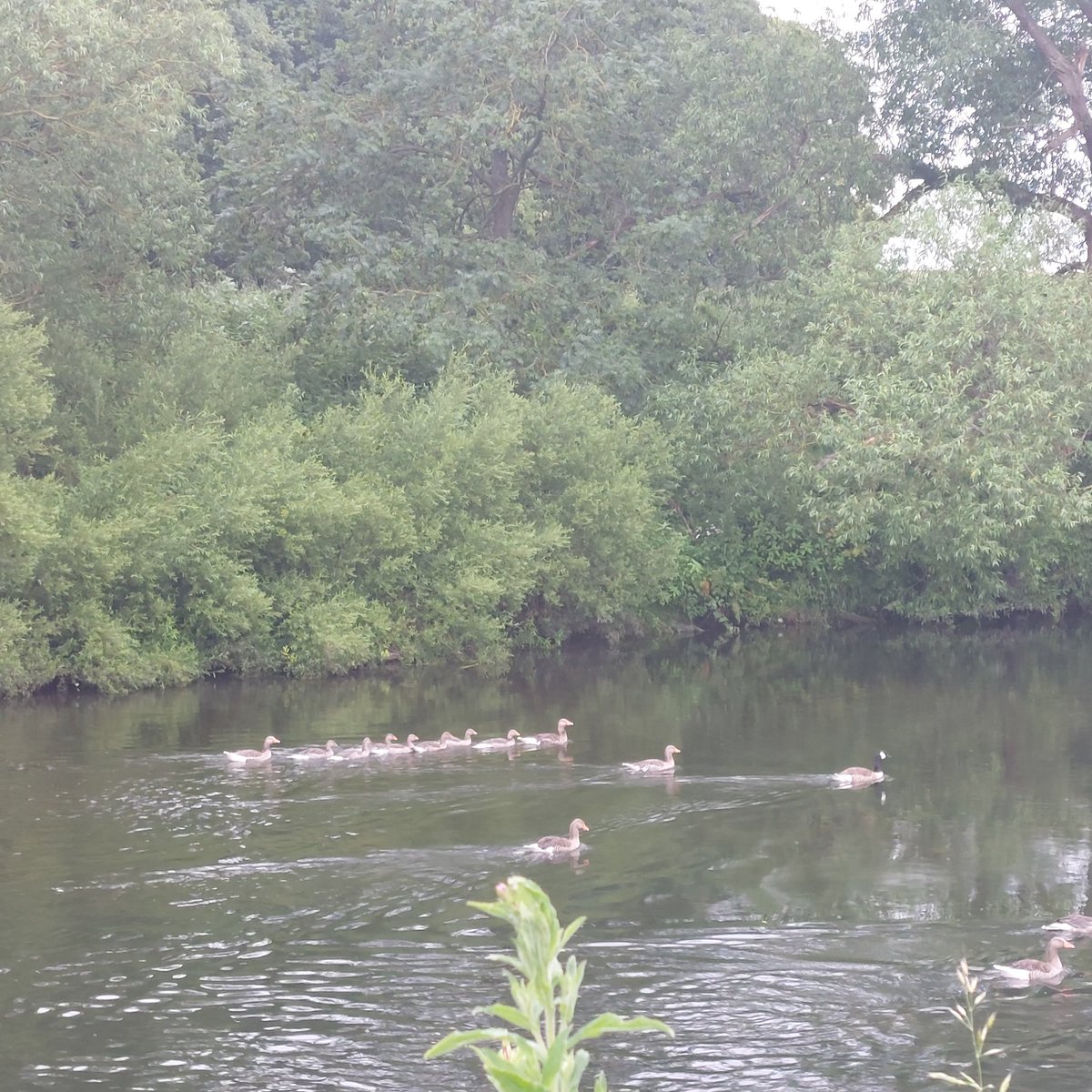 #graduation <a href="/Durham_Classics/">Durham Classics and Ancient History</a> tomorrow