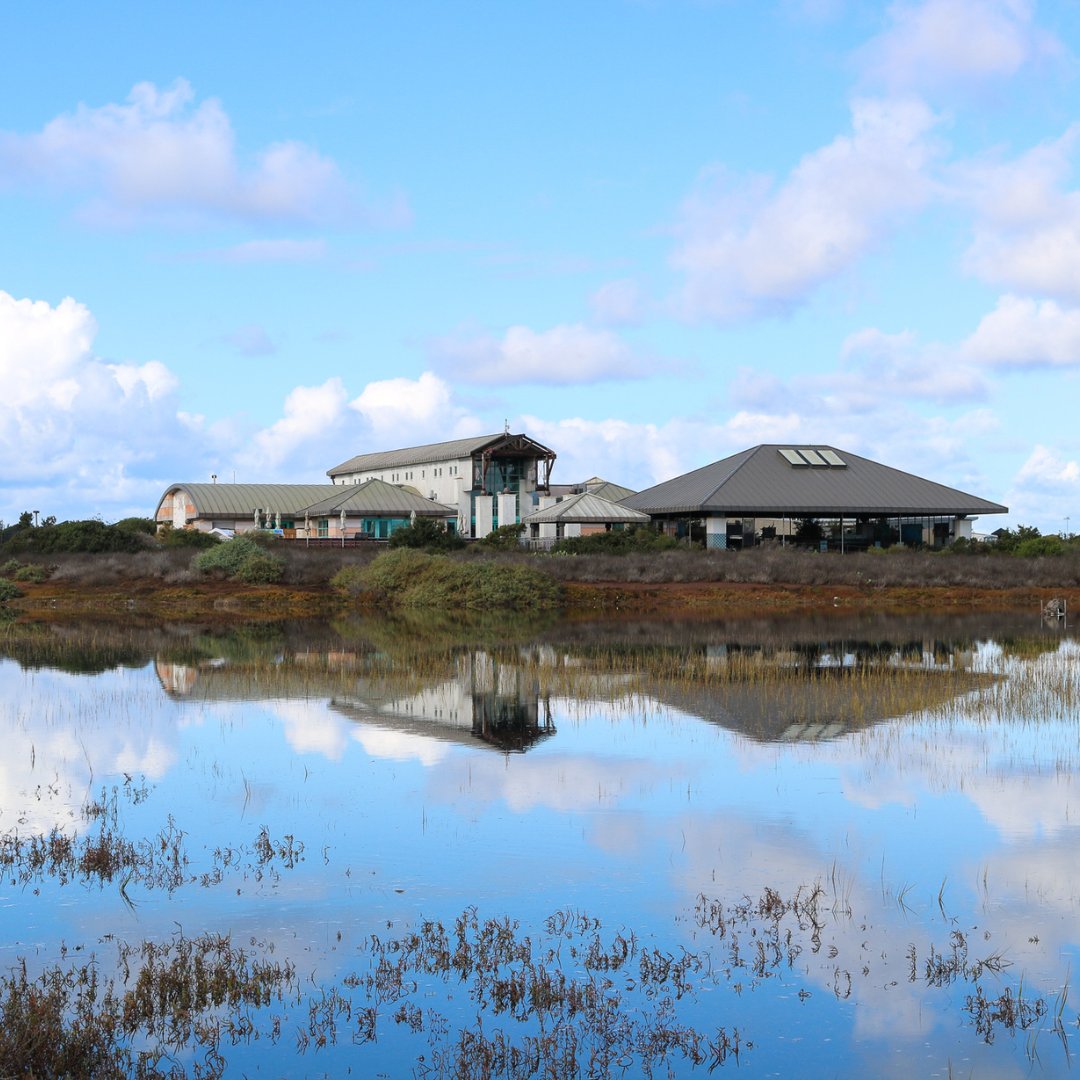 The Living Coast Discovery Center is turning 36!

Join us this weekend, Saturday, July 1 &amp; Sunday, July 2, in celebrating our anniversary with arts &amp; crafts, photo opportunities, animal encounters, and more!

Plan your visit: thelivingcoast.org/visit