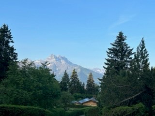 GoGCI's tweet photo. Our GCI Ambassadors are thrilled to learn #IntergenerationalCollaboration and develop their #systemschange skills at #VillarsSymposium2023. Thank you to @VillarsIdeas for organizing this fantastic program!
#systemsthinking #inspirationalspeakers #VillarsInstitute https://t.co/haS9OmCYsC