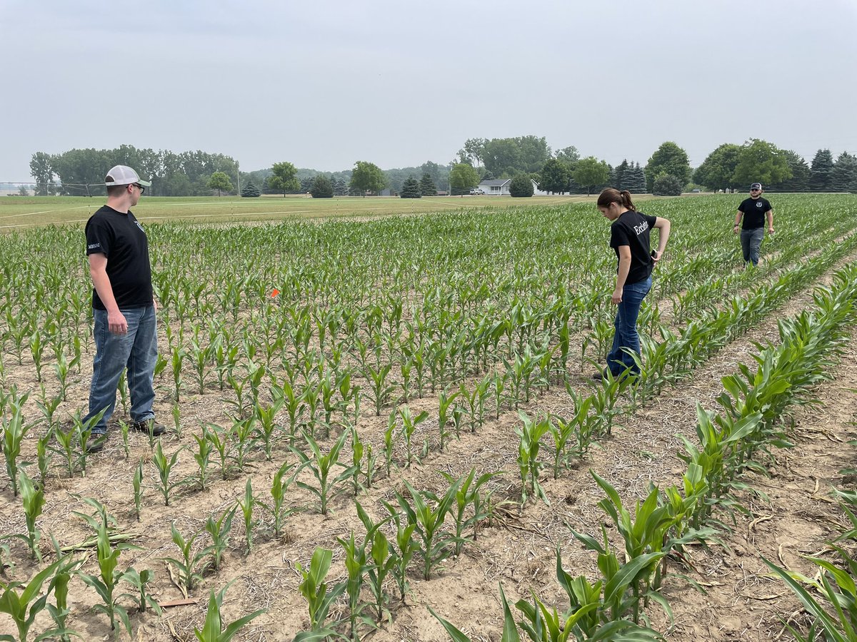 specProjectsLab's tweet image. Our FFA Crop Management Teams attended the FFA CMC Field Day @theAgroExpo @agroliquid @MichiganFFA This year we have a corn and a soybean team. @SJSHSPanthers @StockCommNews