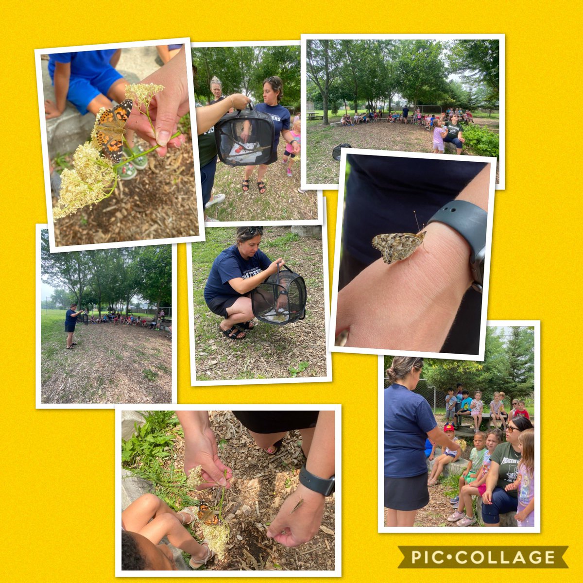 Megan Smith tweet media