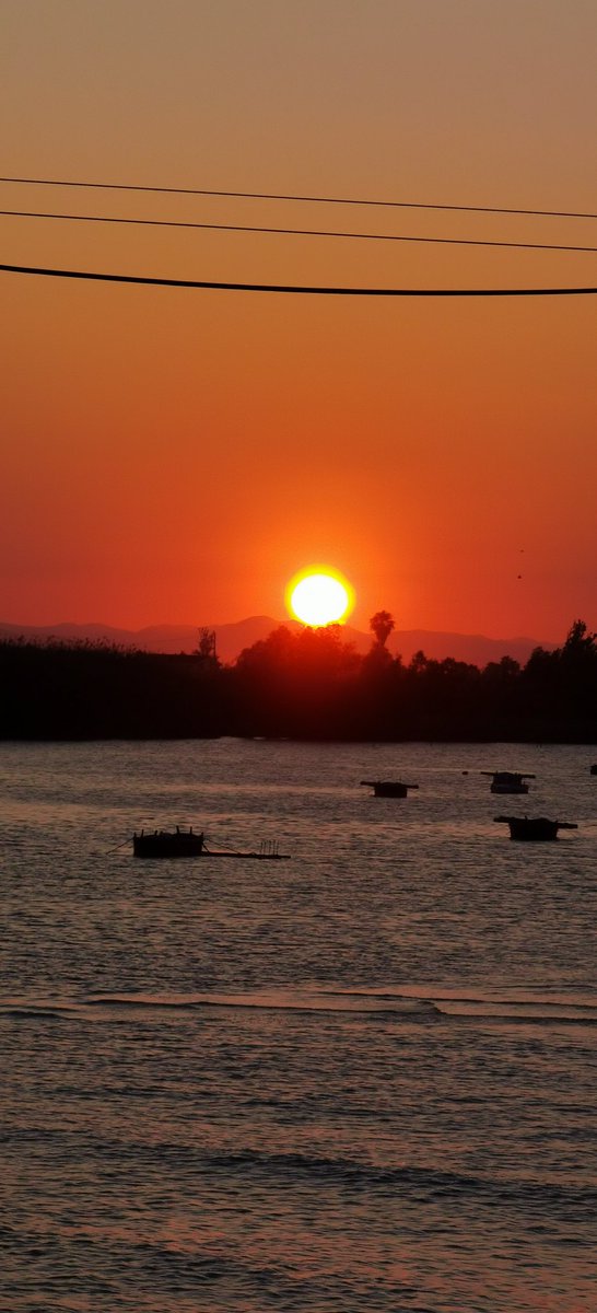 Las fotos que hice el otro día al atardecer ✨