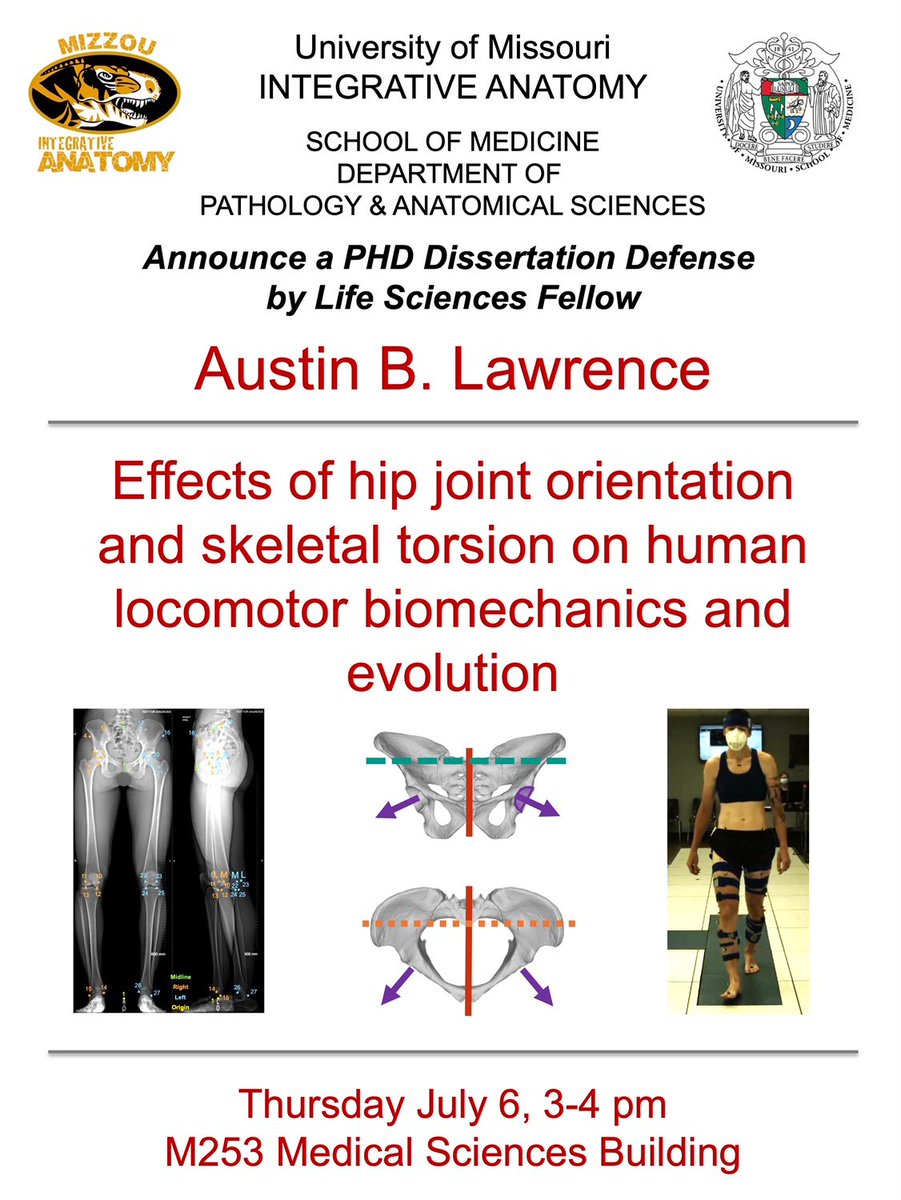 I am excited to share that I will be defending my PhD dissertation next Thursday, July 6, at 3 pm CDT. 

If you are interested in attending (either in person if you are local or via Zoom), please send me a message and I will share the Zoom link.