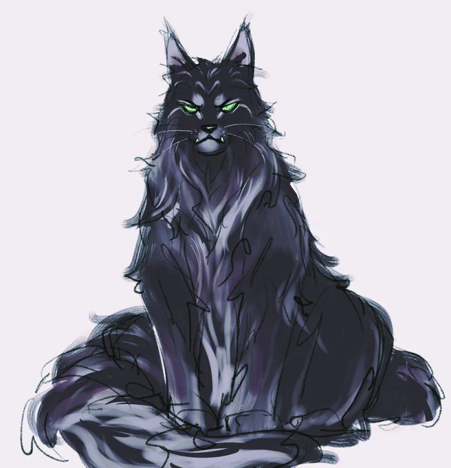 fuck it. mallum maine coon