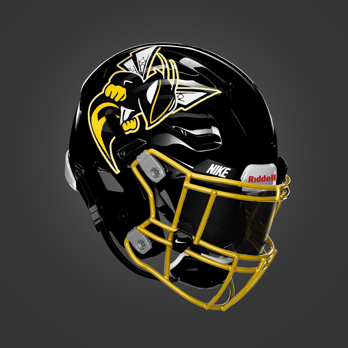 Missouri Helmet Project tweet media