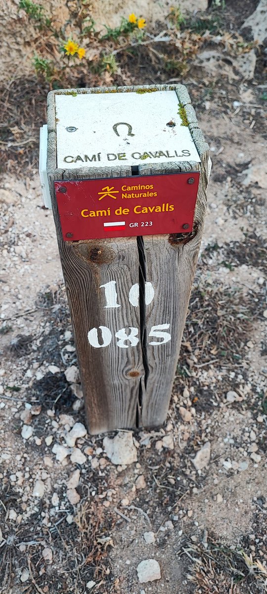 @NormanWalshUK rare sighting of the Walsh on the Cami de Cavalls whilst holidaying in Menorca.