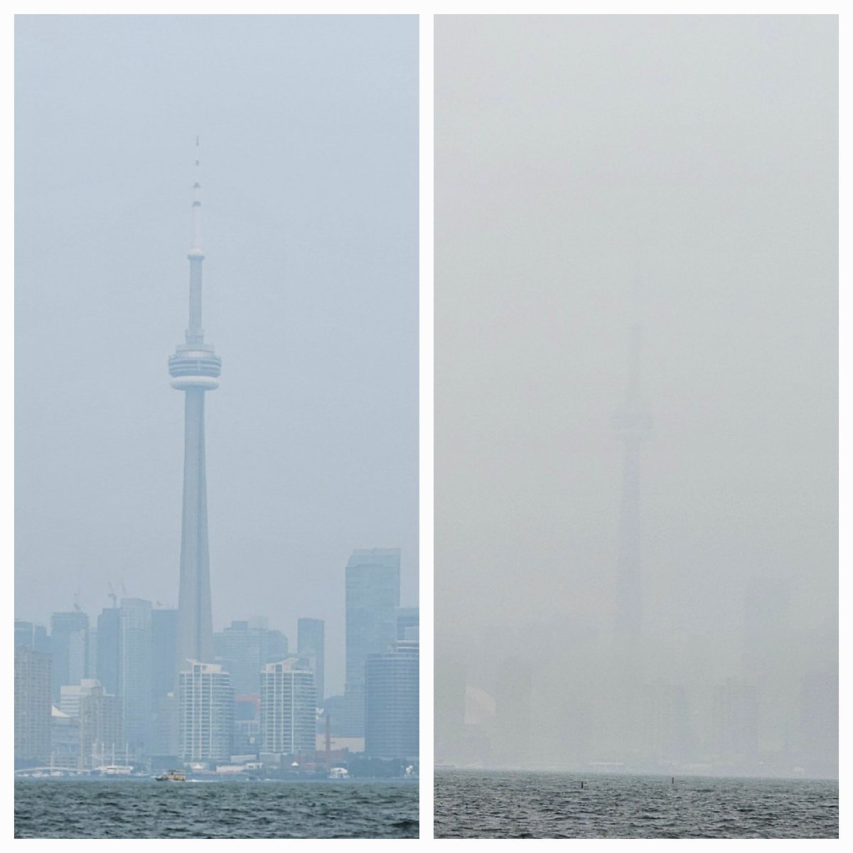 activistish tweet media