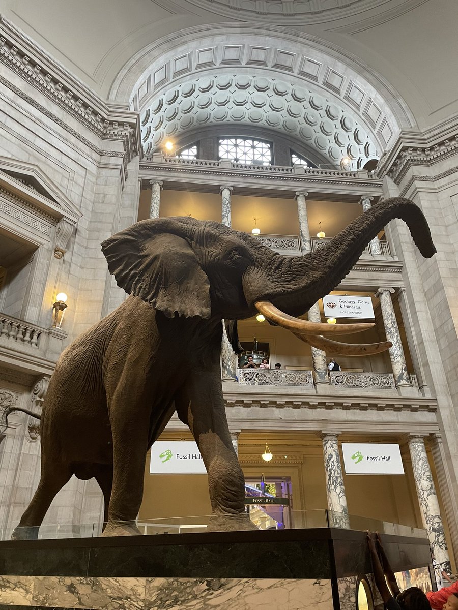 mubaby1's tweet photo. ワシントンD.C.に旅行にいきました。
ホワイトハウスは(防犯上仕方ないんだろうけど)遠すぎ〜！😂 https://t.co/LizrtgHOhe