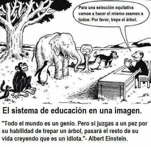istruetruth's tweet photo. #VERDADVERDADERA https://t.co/XPdIbEPumk