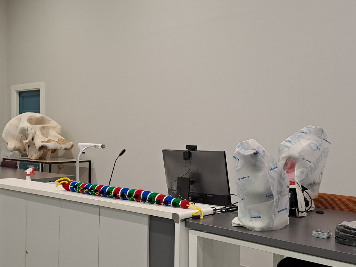 This #WormWednesday was spent preparing for the polychaete workshop. <a href="/IPC2023/">IPC 2023</a> #IPC14 <a href="/MatiesResearch/">Research at Stellenbosch University</a> <a href="/Iziko_Museums/">Iziko_Museums</a>