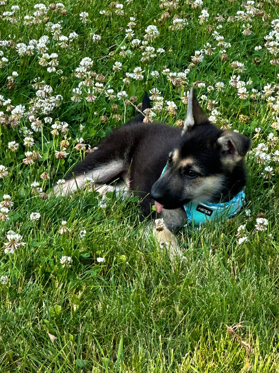 New addition to the family 💜