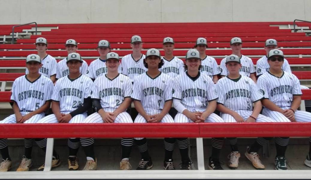 Ostingers Baseball tweet media