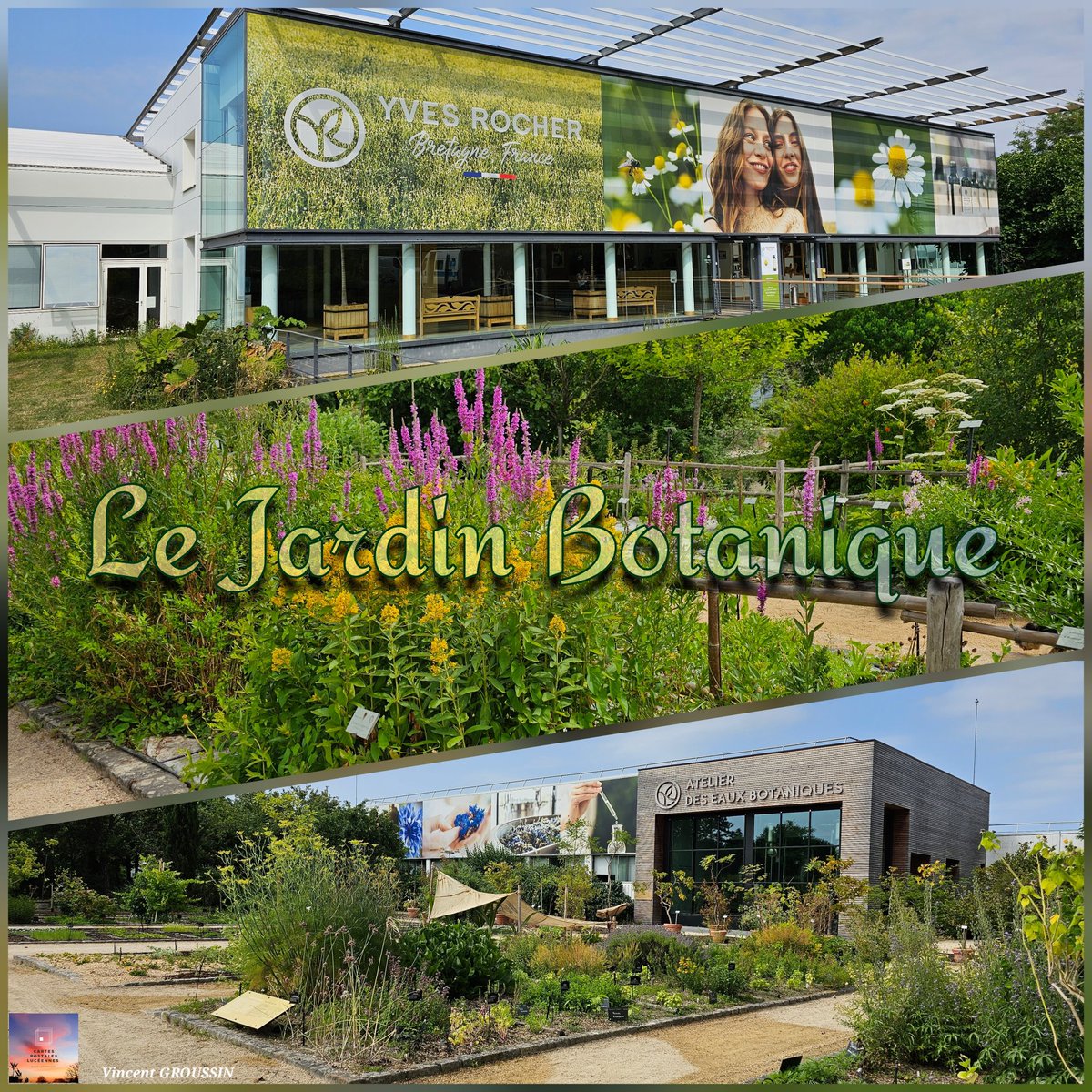 Visite du jardin botanique de la Gacilly 
#cartespostalesluceennes #createurdecartepostale #createurdecontenu #photographedesaintelucesurloire #vincentgroussin #miseenvaleur #jardinbotanique #yvesrocher #BaladeSympa #adecouvrir #nature #lagacilly #morbihan #morbihantourisme