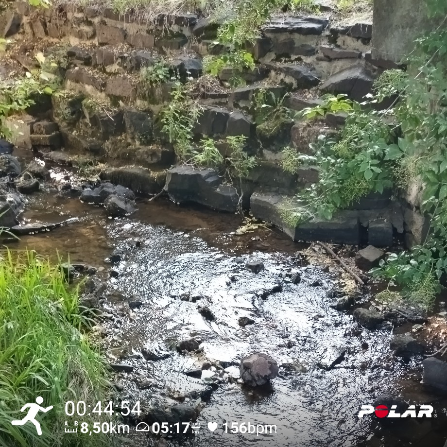 SebyLeBazet's tweet photo. 🎶J'attends à la rivière, je surveille le chemin, je n'ai rien d'autre à faire
Mais rien ne vient🎶 #running #auvergne #doublette #WednesdayMotivation #GoodVibesOnly #entrainement #objectif #enchainement #volume #Plaisir #PolarVantageV https://t.co/QICcYs0ZJz