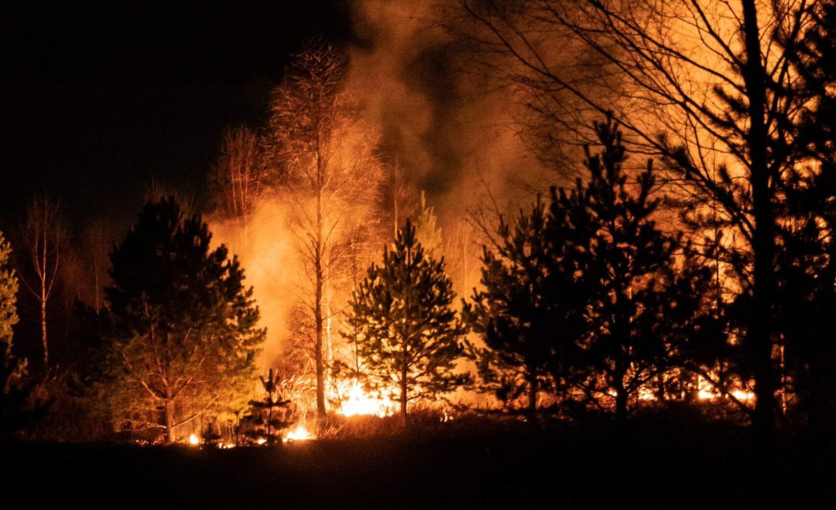 DetroitCarTrans's tweet photo. Detroit and the rest of Michigan are getting their air quality ruined by the Canadian Wildfires.
https://t.co/vTs9av9jVy

#CanadianWildfires #AirQuality #MERV13 #NationalWeatherService #Fires

Follow Us!     
Pinterest: #detroitcartransport
Facebook: https://t.co/ucFyPmgaa9 https://t.co/seCxTqIgUO