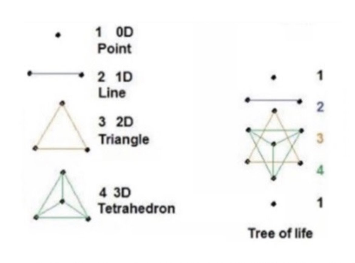 Figure 41 - The Tetractys, representing the organization of space from a two dimensional point of view.

First row: From a single original point everything is created and brought into existence from nothingness.

This could be considered as a state of awareness to that which is